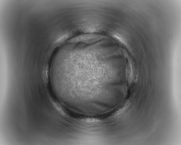 X0000086980590200704301319