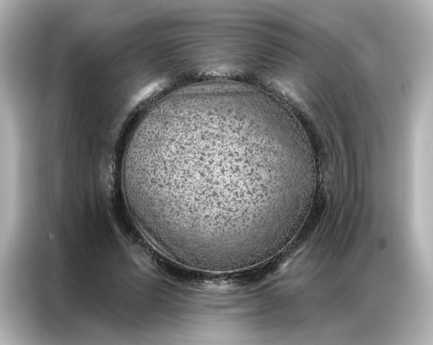 X0000086980591200704301319