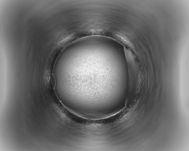 X0000086980593200704301319