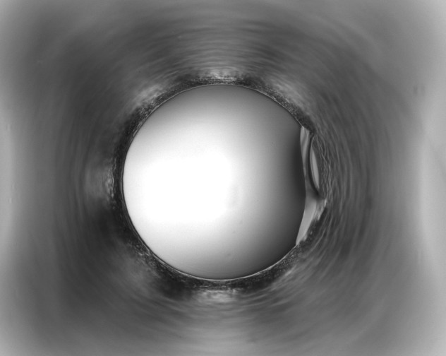 X0000086980595200704301319