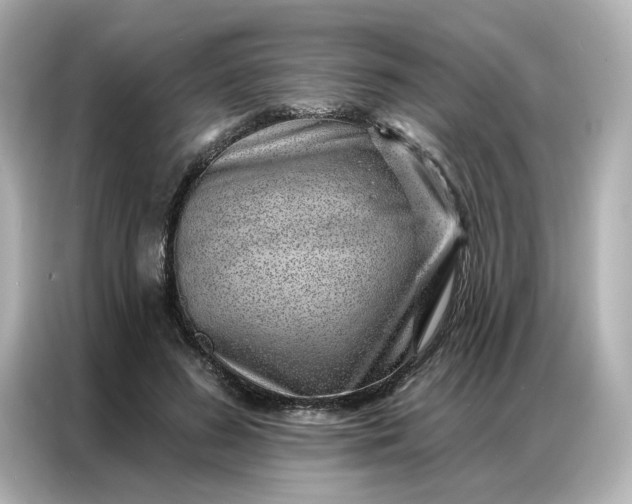 X0000086980596200704301319