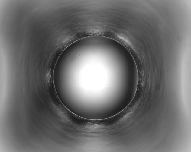 X0000086980597200704301319