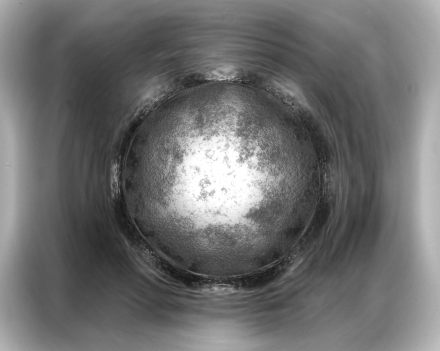 X0000086980598200704301319