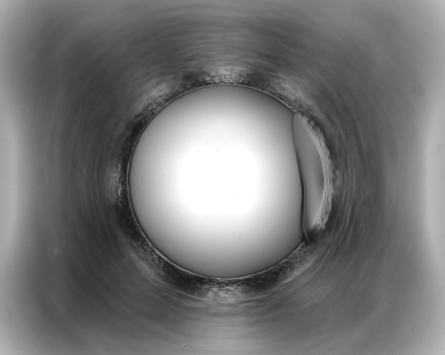 X0000086980599200704301319