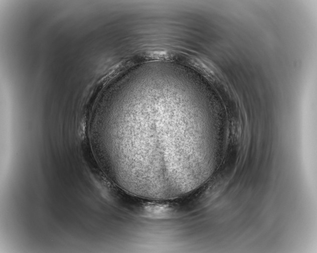 X0000086980602200704301319