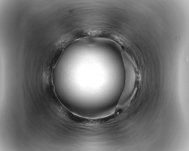 X0000086980604200704301319