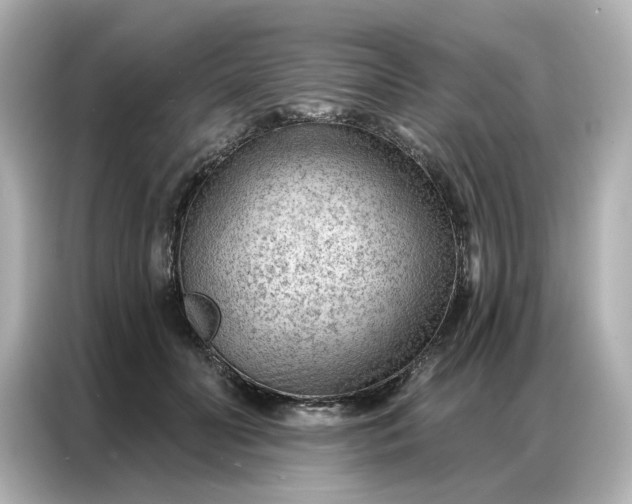 X0000086980606200704301319