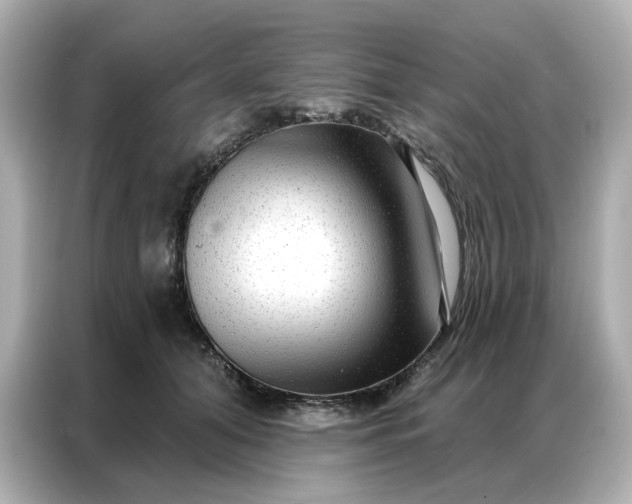 X0000086980608200704301319