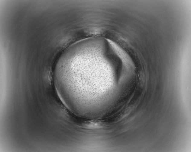 X0000086980612200704301319