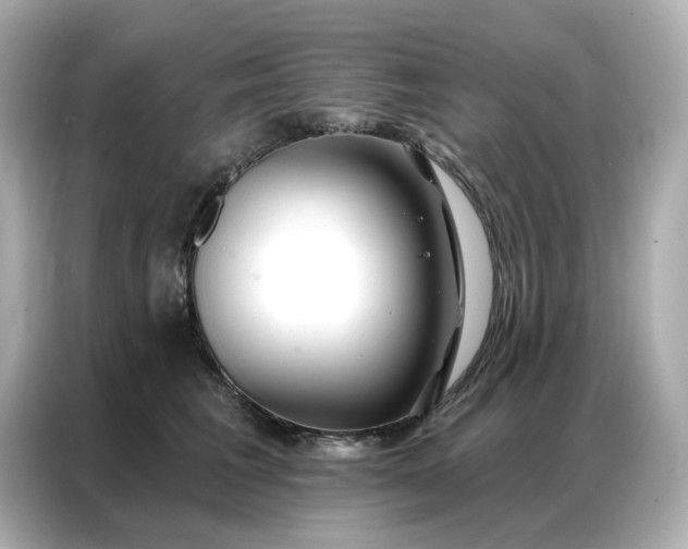 X0000086980613200704301319