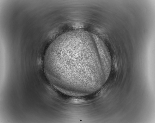 X0000086980614200704301319