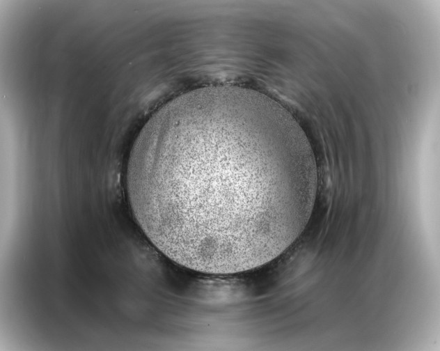 X0000086980615200704301319