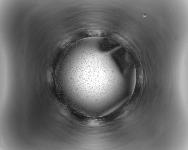 X0000086980616200704301319