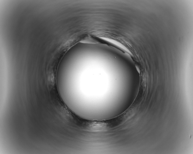 X0000086980617200704301319