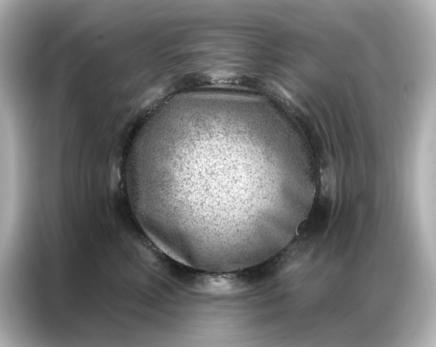 X0000086980618200704301319