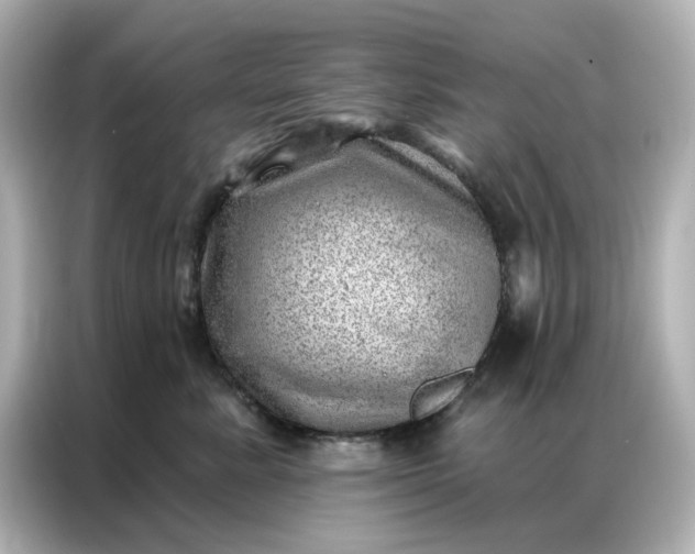 X0000086980619200704301319