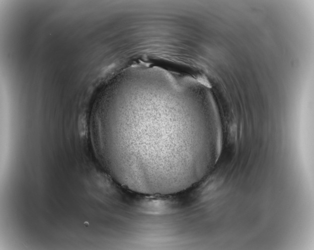 X0000086980620200704301319