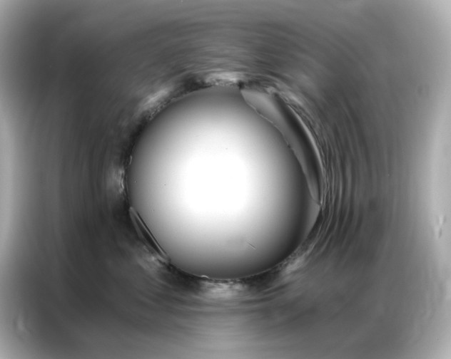 X0000086980621200704301319