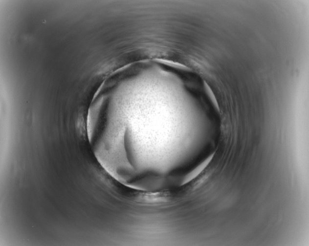 X0000086980622200704301319