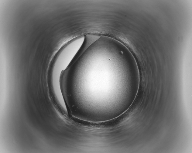 X0000086980626200704301318