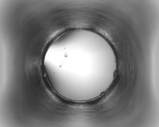 X0000086980629200704301318