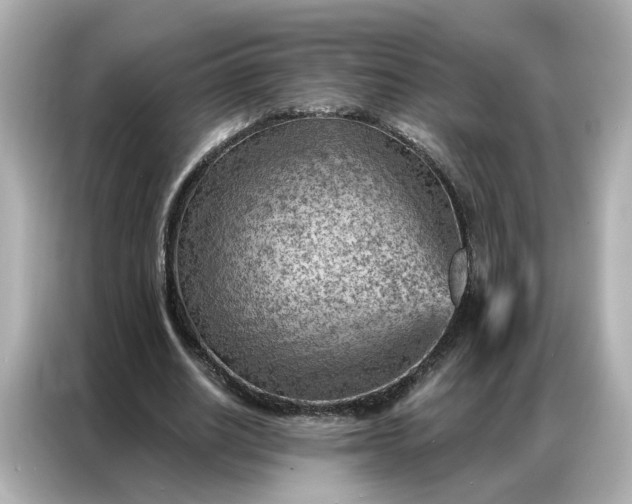 X0000086980630200704301318