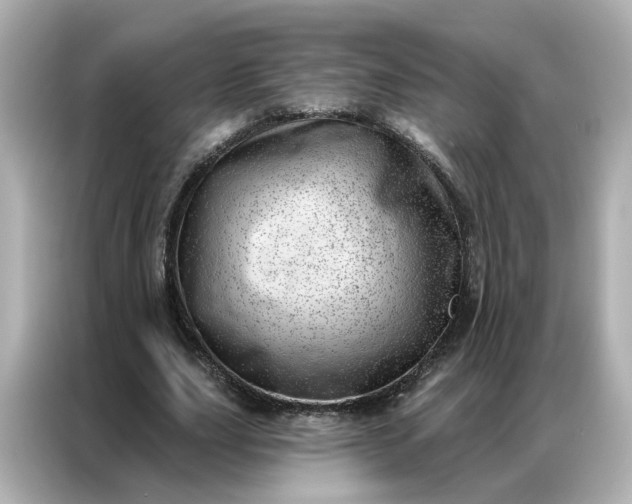 X0000086980631200704301318