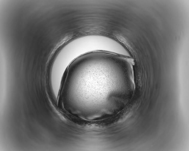 X0000086980634200704301318