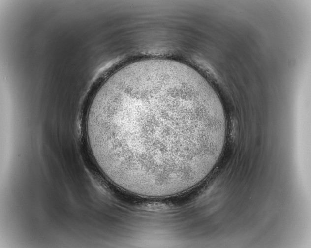 X0000086980636200704301318