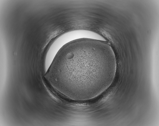 X0000086980638200704301318