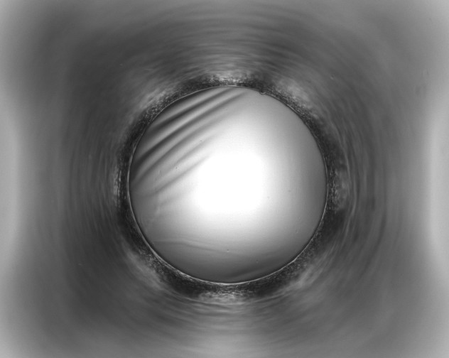 X0000086980639200704301318