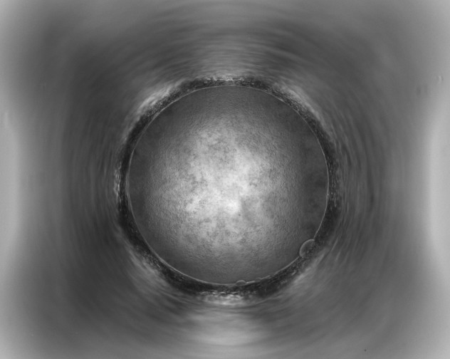 X0000086980640200704301318