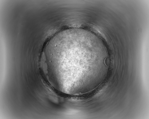 X0000086980641200704301318