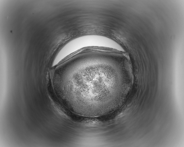 X0000086980642200704301318