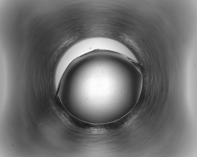 X0000086980644200704301318