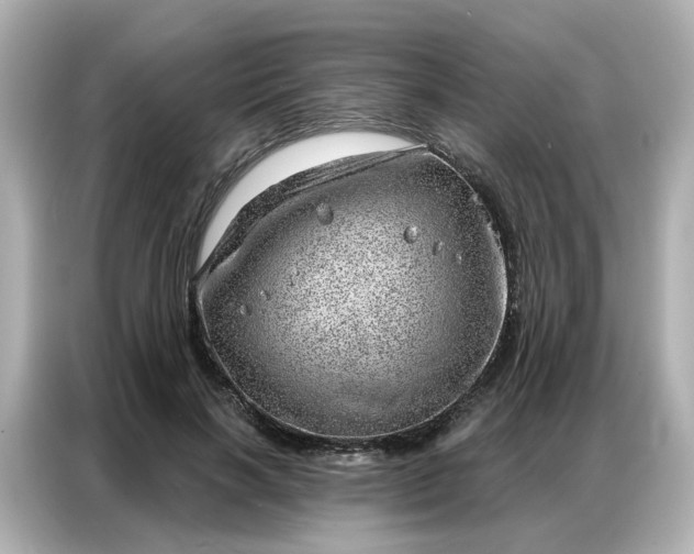 X0000086980646200704301318