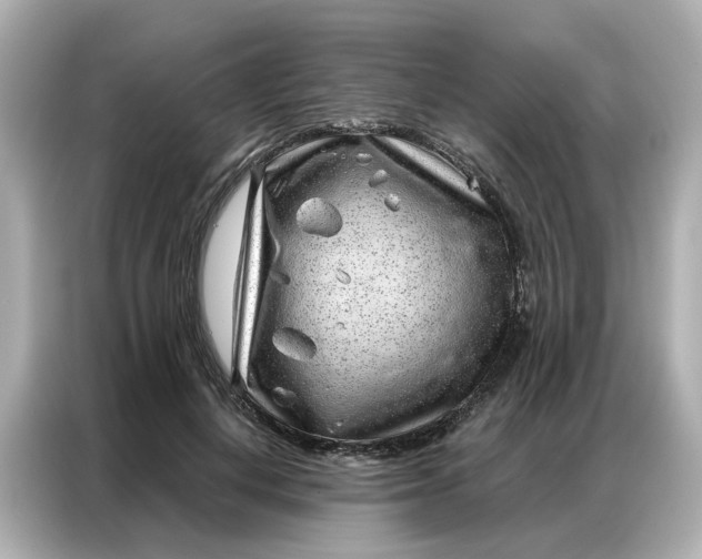 X0000086980648200704301318