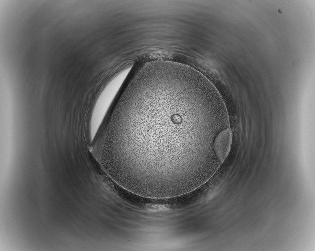 X0000086980649200704301318