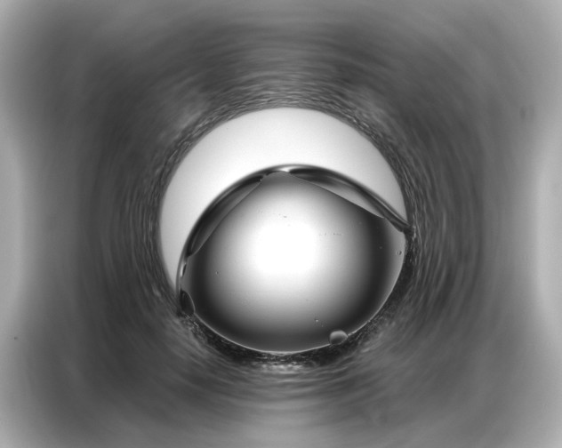 X0000086980650200704301318