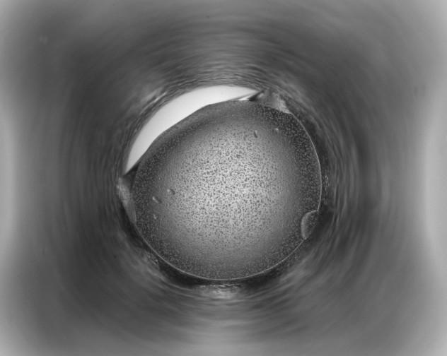 X0000086980652200704301318