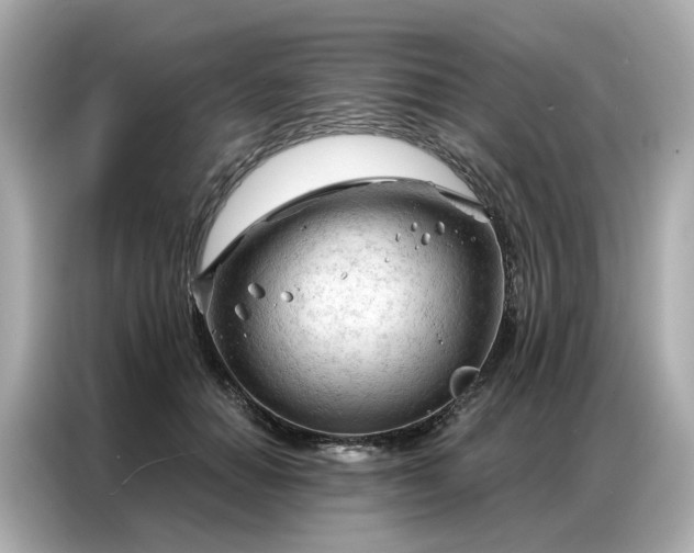 X0000086980654200704301318