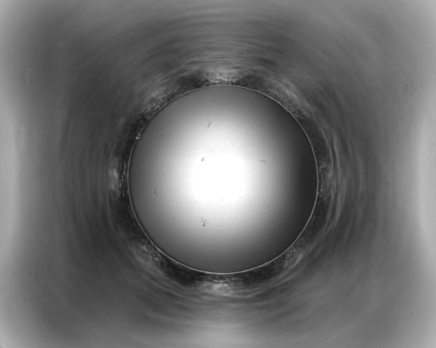 X0000086980655200704301318