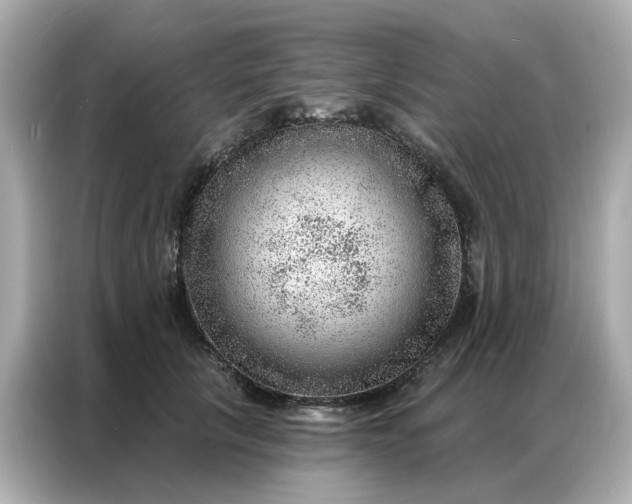 X0000086980657200704301318