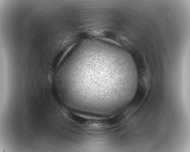 X0000086980658200704301318