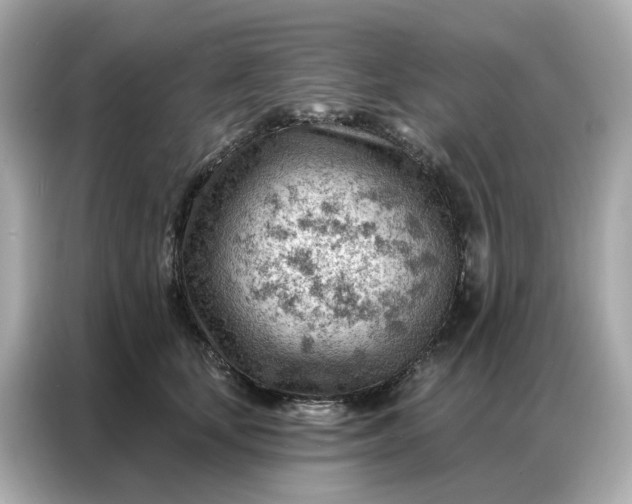 X0000086980659200704301318