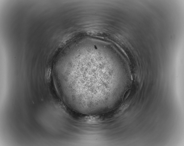 X0000086980660200704301318