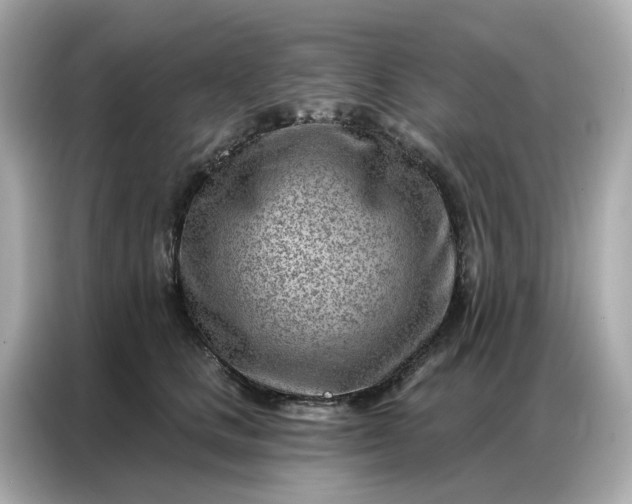 X0000086980661200704301318