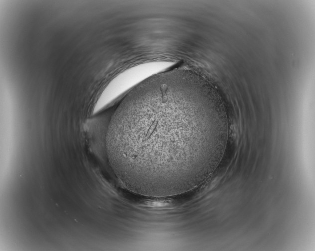 X0000086980662200704301319