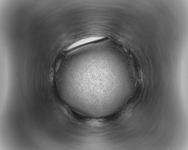 X0000086980664200704301319