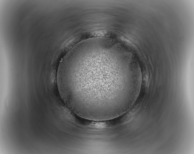 X0000086980665200704301319